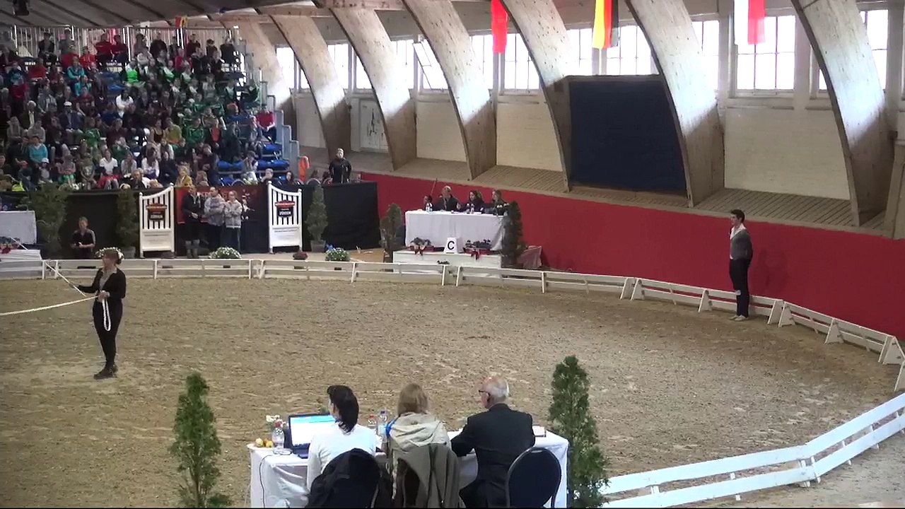 CVI Bern 2015 (REPLAY) - Individual Male CVI3* - Francesco Bortoletto (ITA) – Freestyle2