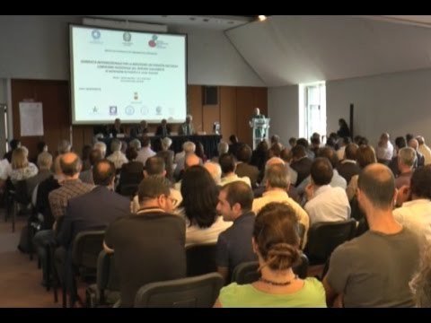 Napoli - Rischio eruzione Vesuvio, geologi: Un piano per diradare popolazione -1- (14.10.14)