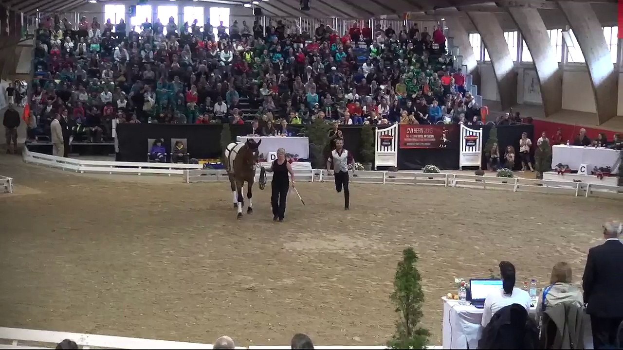 CVI Bern 2015 (REPLAY) - Individual Male CVI3* - Lukas Klouda (CZ) – Freestyle2