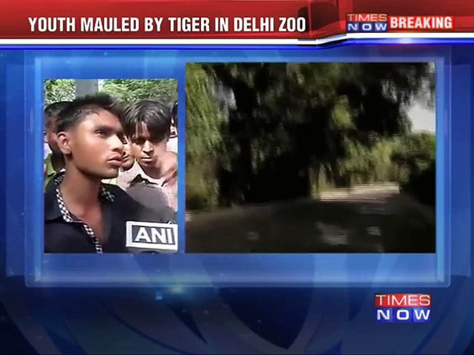 Youth attacked by Tiger in Delhi zoo