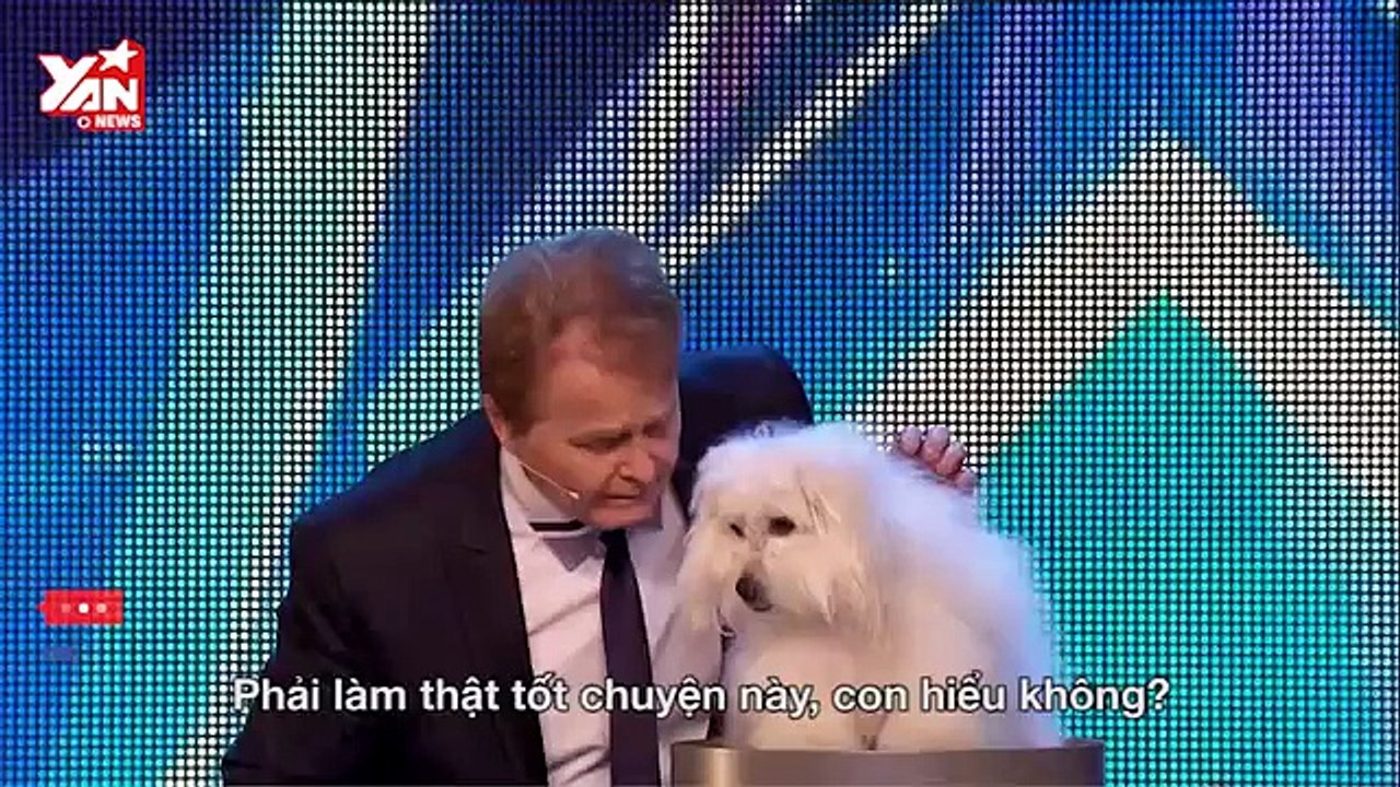 Chú chó biết nói tham gia Britain's Got Talent 2015