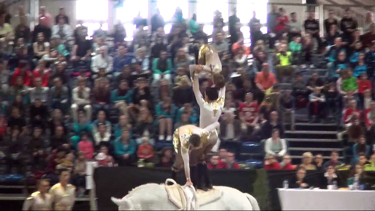 CVI Bern 2015 - 2. Rank Squad CVI3* - Team1 Ecuries de la Cigogne  (FRA) - Freestyle2