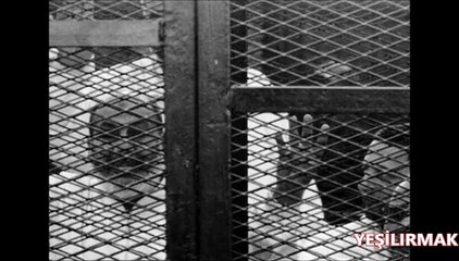 EHAD- MISIRDAKI IHVAN KERDESLERIMIZE- UYGULANMAK  ISTENEN IDAM CEZASINA TEPKI - SENDE DESTEKL OL!.