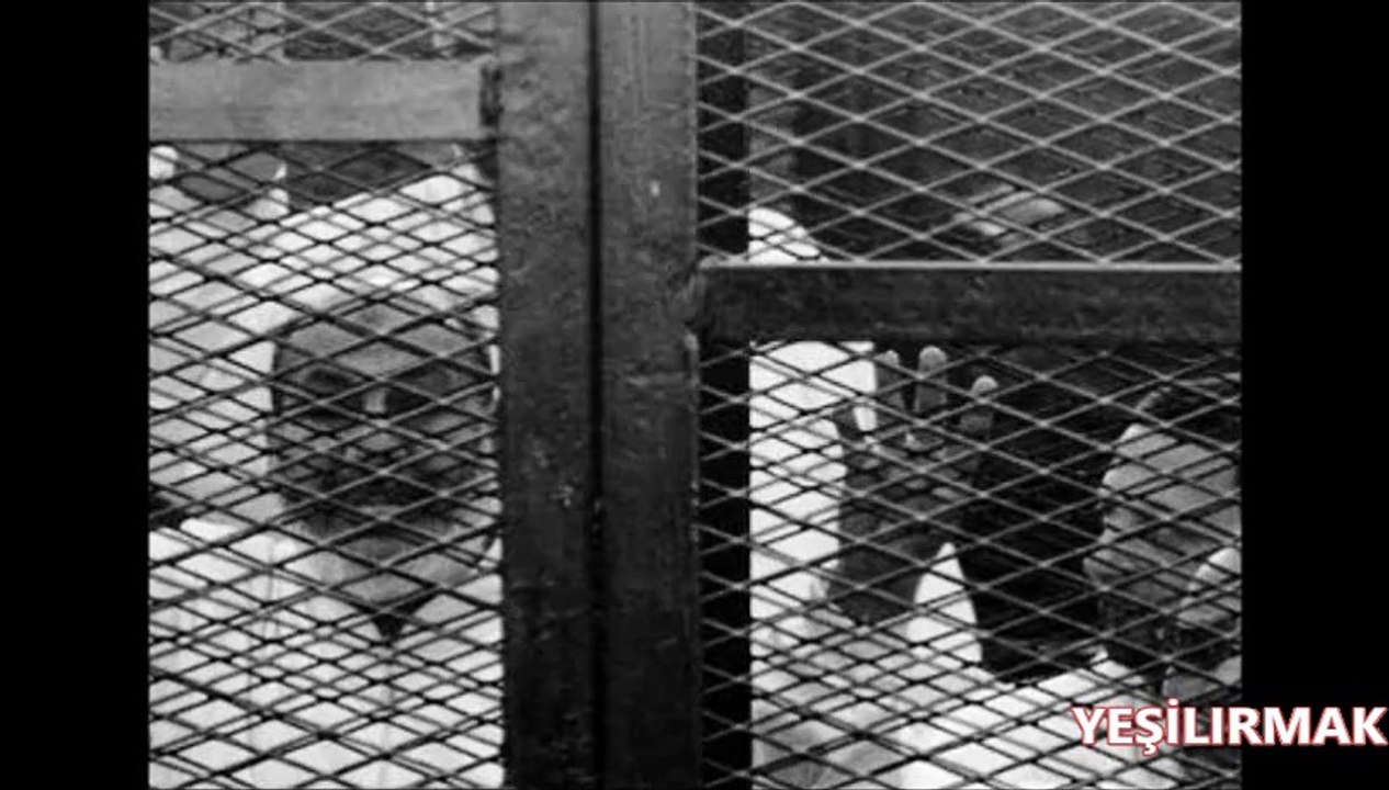 EHAD- MISIRDAKI IHVAN KERDESLERIMIZE- UYGULANMAK  ISTENEN IDAM CEZASINA TEPKI - SENDE DESTEKL OL!.