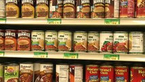 Starving for Change: Poverty and Food Insufficiency in Northern Michigan