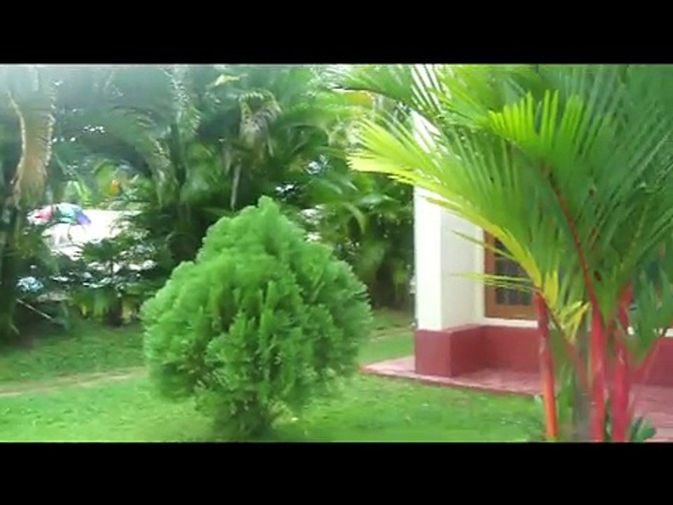 Fish Pond Cleaning