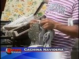 Cachina Navideña - Reporte Semanal - Armando Avalos