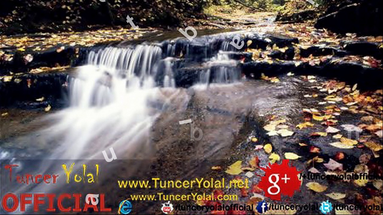 Günün Birinde - Tuncer Yolal 2015