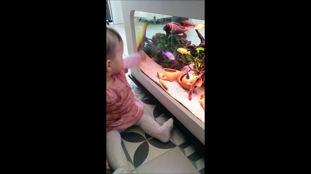 Les petits poissons