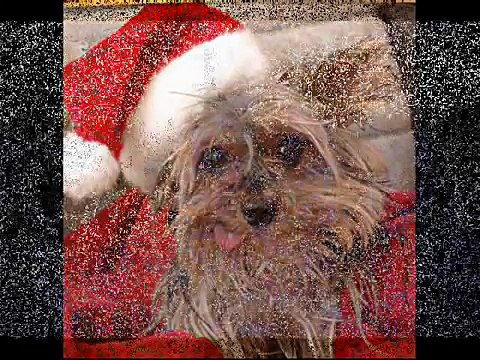 Ich hab einen Stern in den Schnee gepisst - Nikolaus van HättKenStehn