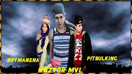 Pitbulking Ft. Neztor MvL & Prymanena - No vuelvas [Remix No Oficial] [Video]