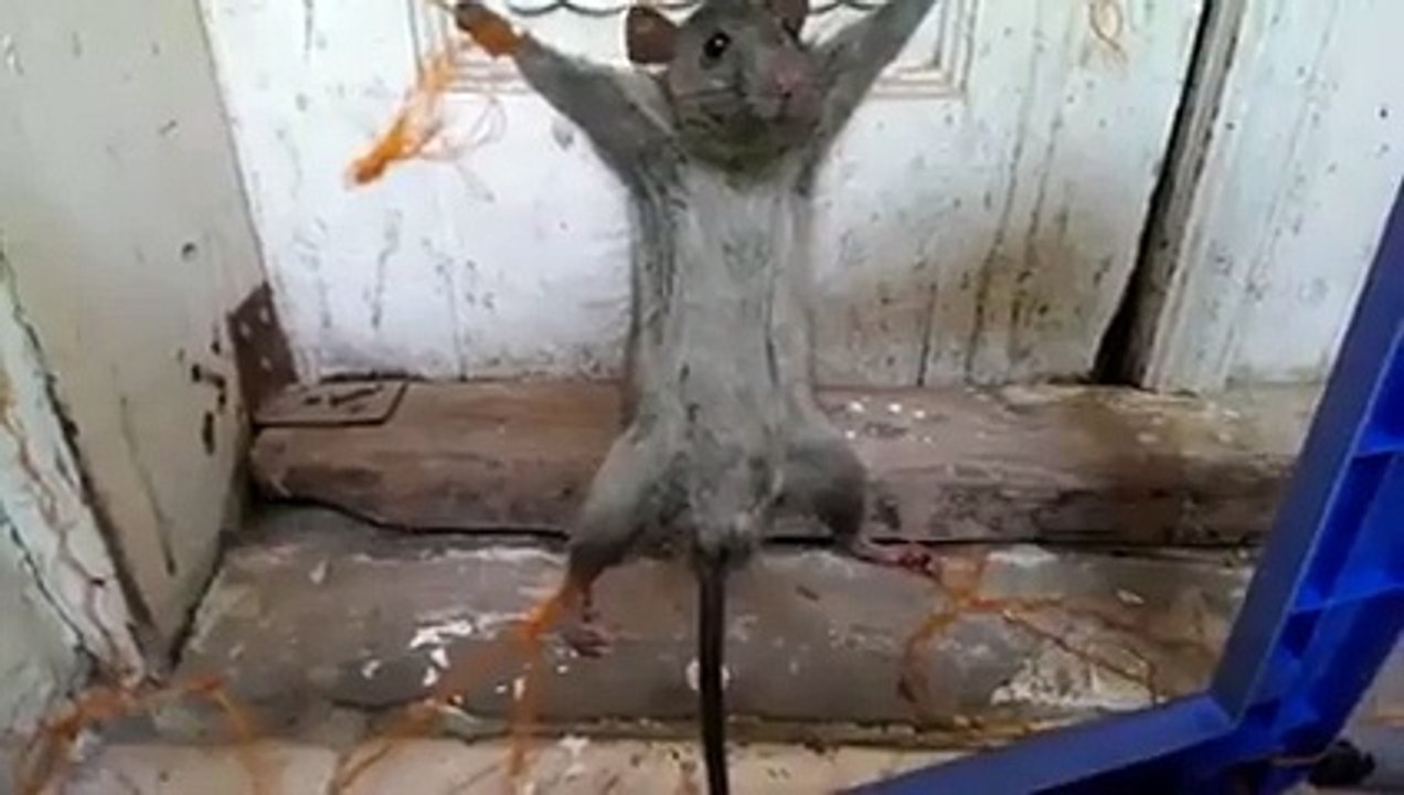 OMG!!! What is going on ????