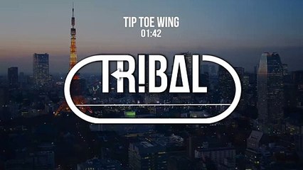 RiFF RAFF - Tip Toe Wing In My Jawwdinz (TrapZillas Remix)