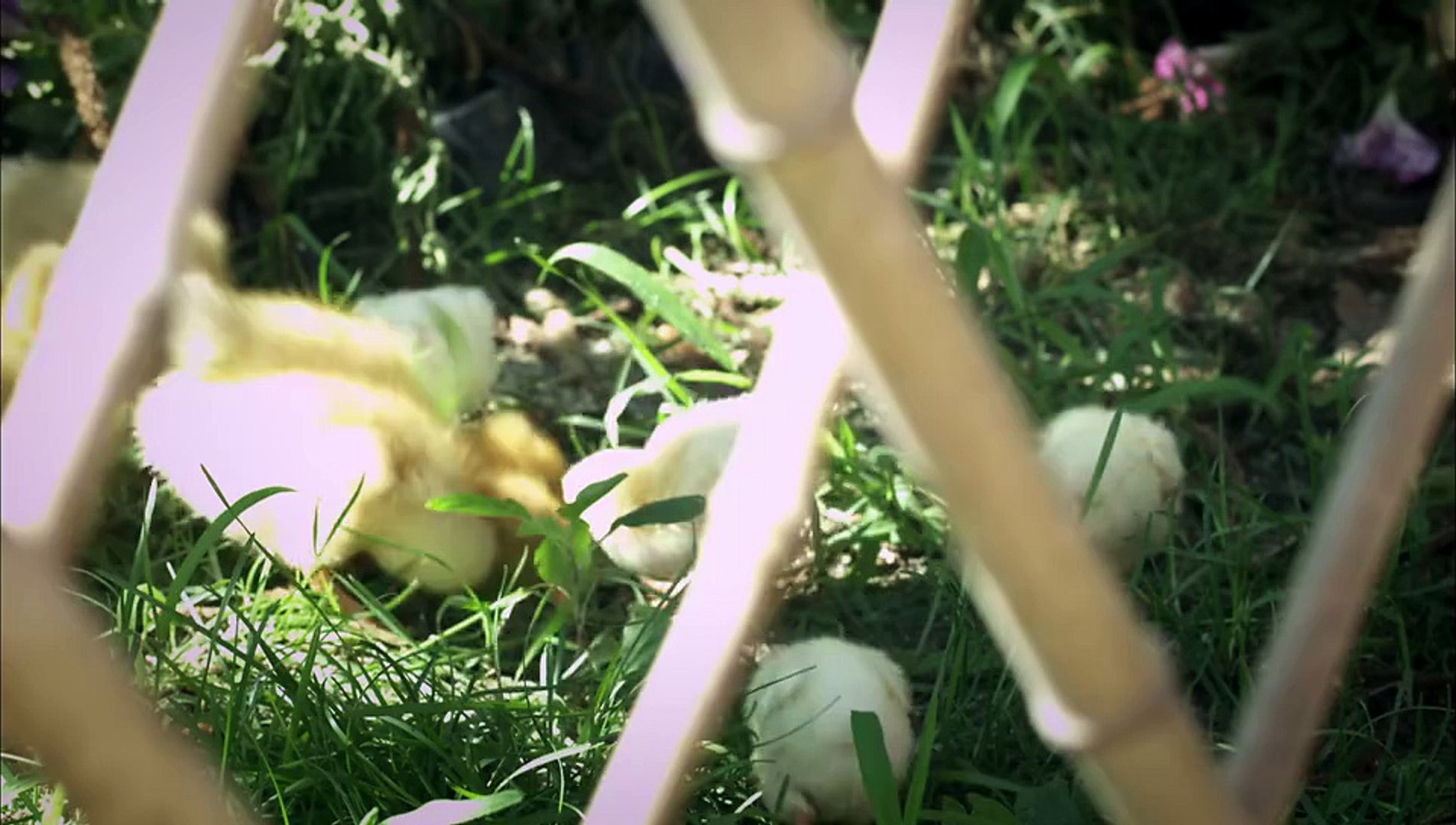 冬暖花会开11 Video Dailymotion