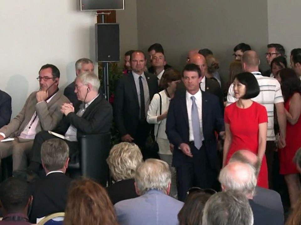 Droits d'auteur en Europe, le Maïwenn, le Moretti: Valls fait un petit tour à Cannes