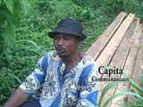 Cameroon: ESSENCES FORESTIERES ET EXPLOITATION DU BOIS (Forest and Wood Exploitation)