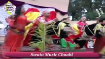 Chaabi Marocain 2015 - dima chaaiba - Mohamed El Meskini -Jadid Chikhat 2015 - رقص شعبي مغربي رائع[1]