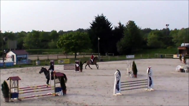 Arlette CSO Sandillon mai 2015 bis