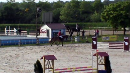 Aquarelle CSO Sandillon mai 2015