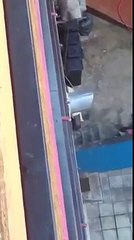 YouTube: Trabajadores de KFC en Sudáfrica lavan pollo en el suelo