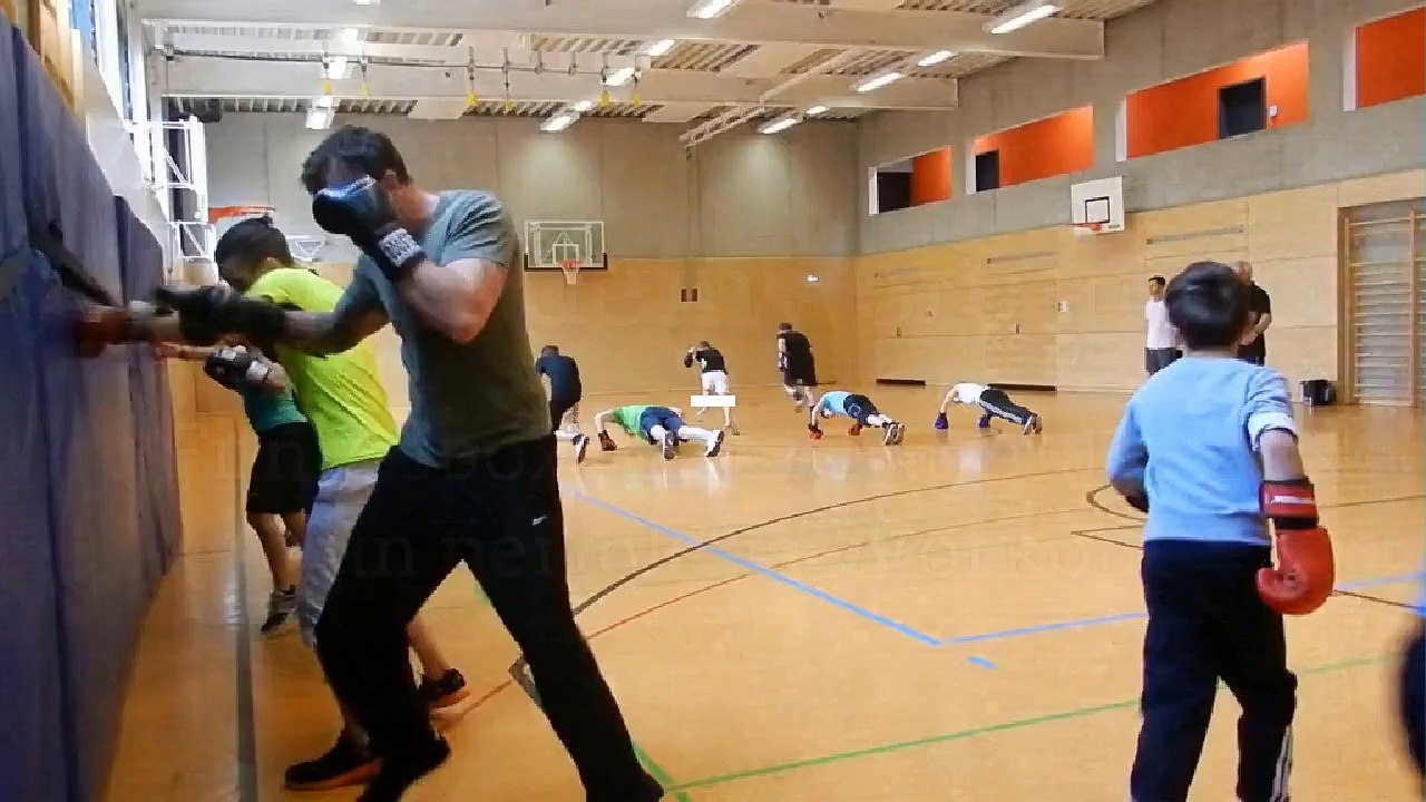 Box academy stuttgart