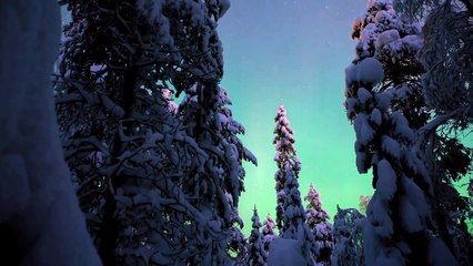 The Amazing Northern Lights (Aurora Borealis) - FINLAND
