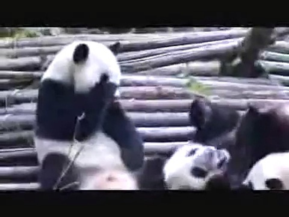 Panda Sneeze Attack