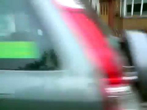 Rocky 3yr Old Boxer Dog... Going crazy as boxers do!!!