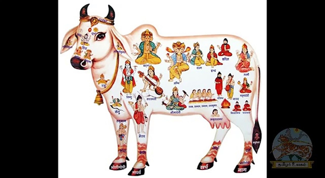 இல்லுமினாட்டியும் அந்த நான்கு யுகங்களும்