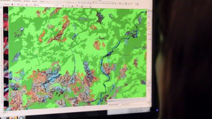 ONU-REDD en Panamá destaca los avances de su inventario nacional forestal