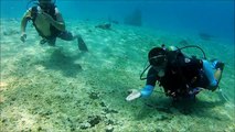 Scuba Diving in Cozumel