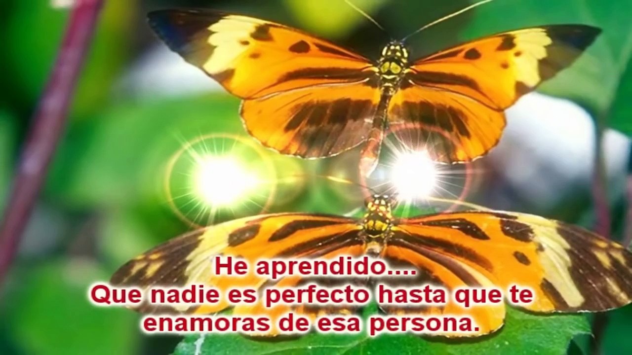 He Aprendido...- Reflexiones De La Vida