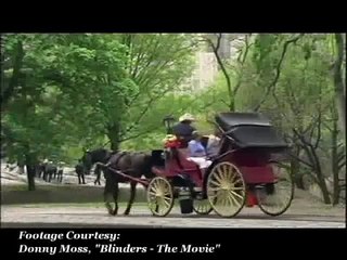Horse Drawn Carriage Cruelty