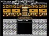 Might and Magic: Secret of the Inner Sanctum - NES Gameplay