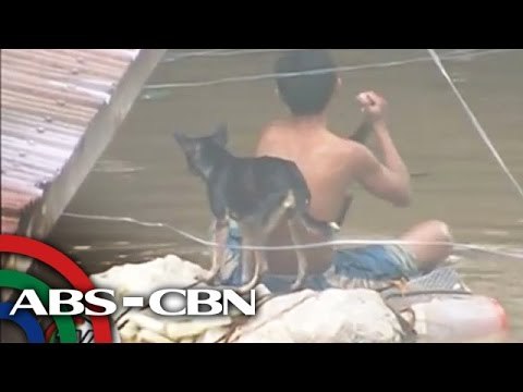 Disaster survival skills, ipinaalala sa publiko