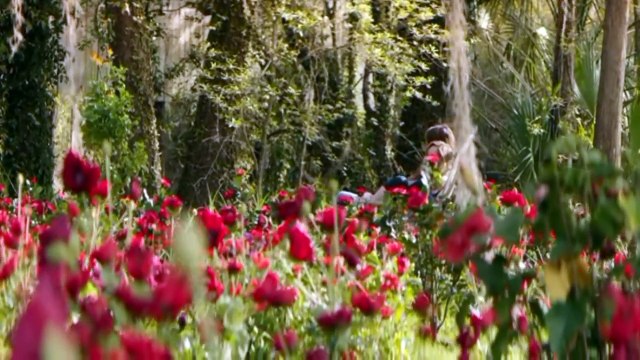 Chanson d'amour - Le temps va trop vite - duo 2015