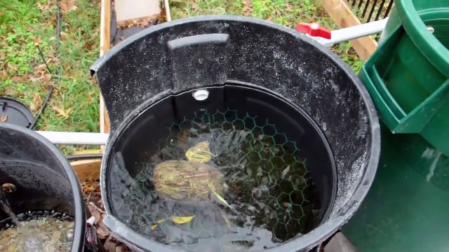 Cheap DIY Bio Pond Filter that WORKS!!!