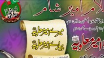 شان امیرمعاویہ رضی اللہ تعالی عنہ