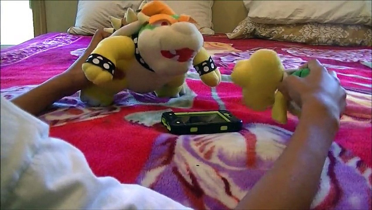 Bowser's Heist
