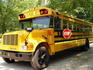 School Buses