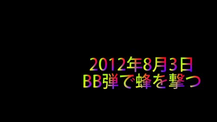 エアーガンで蜂を攻撃 I attacked bees with air gun.
