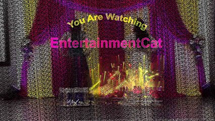 Wonderful Performance On Wedding Night Best DANCE _ HD