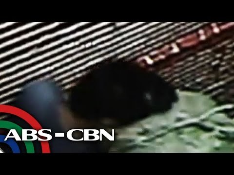 Mall sa Binondo ninakawan ng buntis