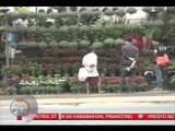 TV Patrol Southern Tagalog - December 2, 2014