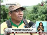 TV Patrol Palawan - December 3, 2014