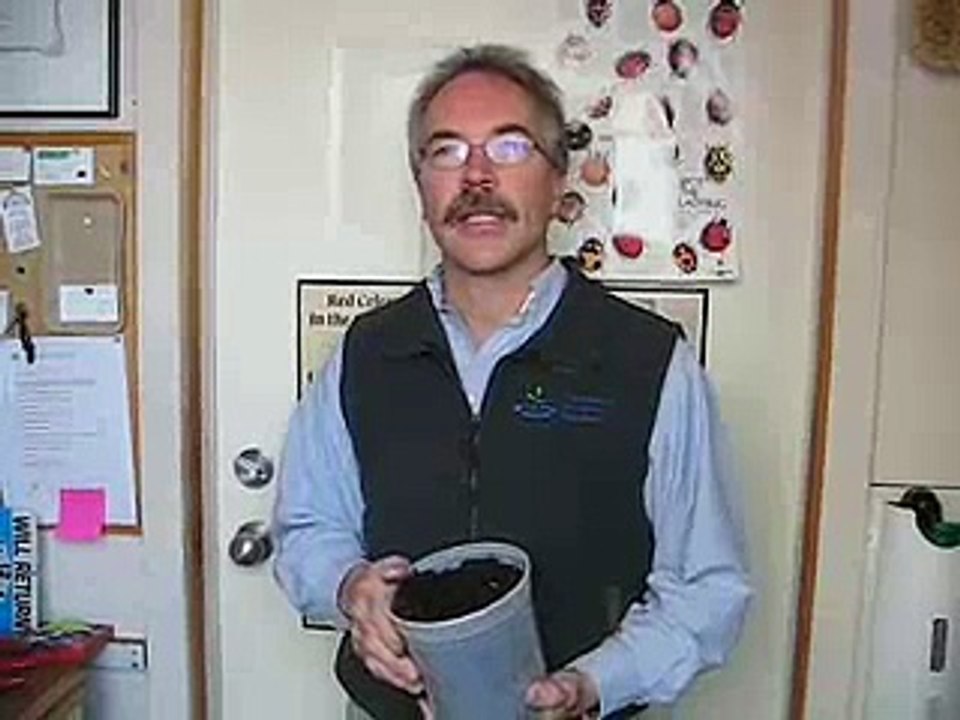 John Paul Delivers Worms to City Farmer