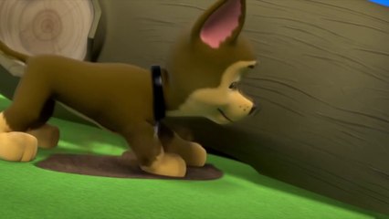 Paw Patrol Pups save a Little Bird!