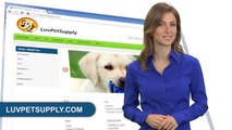 pet stores, discount pet supplies, pet supplies wholesale, dog supply store