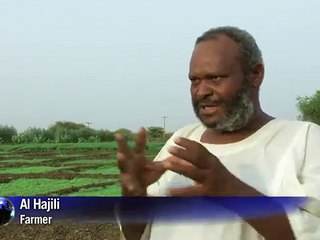 Sudan struggles to develop farming