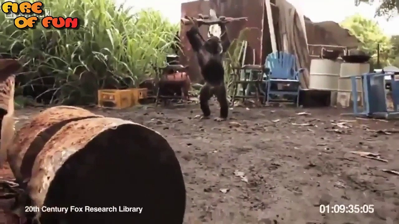 Funny Videos_ Stupid people doing stupid things